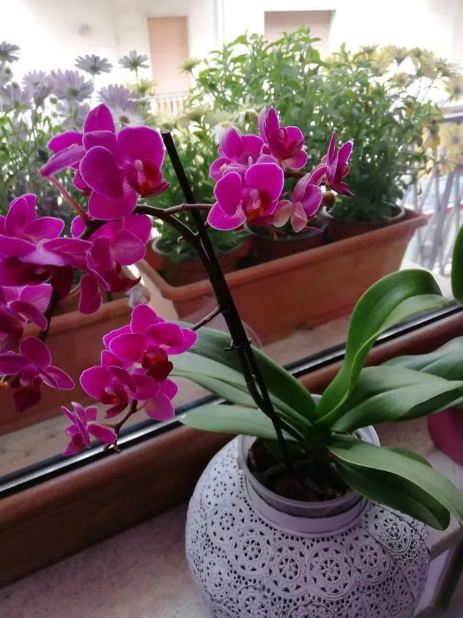 Casa Namaste Bed and Breakfast Λέτσε 0*,